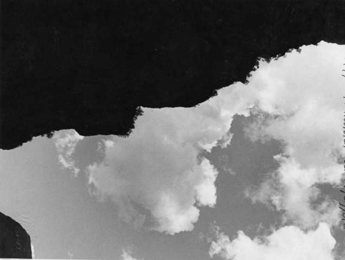 Anders Beer Wilse, -6373
