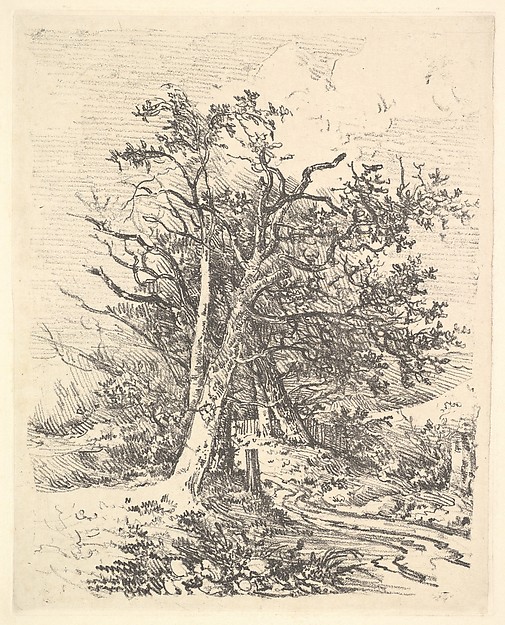 John Crome, Tree Trunks and Lane