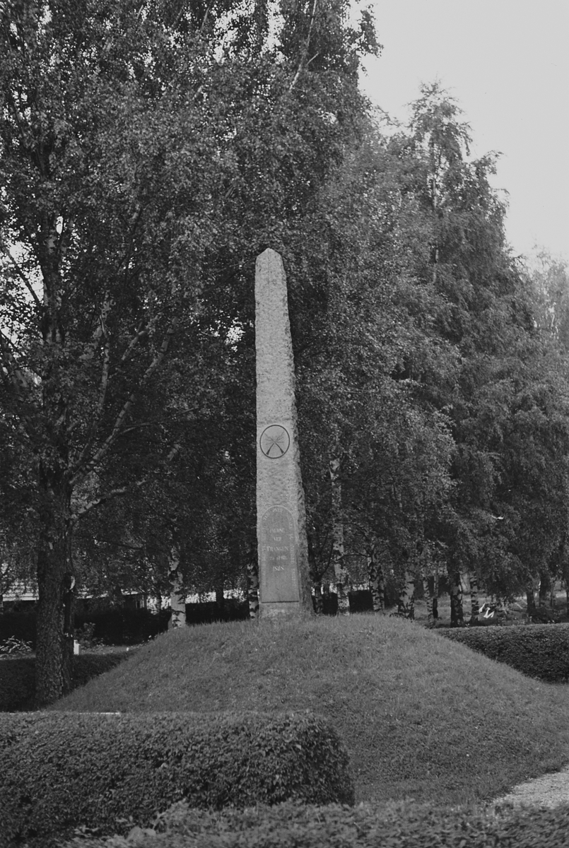 Anders Beer Wilse, Prot: Felles grav for nordmenn og svensker efter slag Trangen. Tekst på minnestein: Nordmænd reiste denne sten over norske og svenske krigere, faldne ved Trangen 25 april 1808