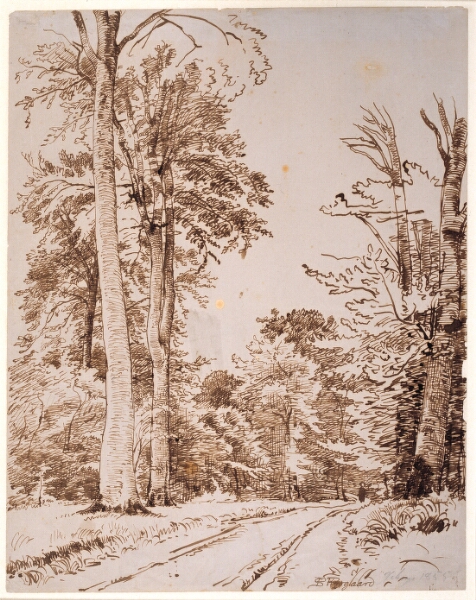 P.C. Skovgaard, Skovvej. Iselinge