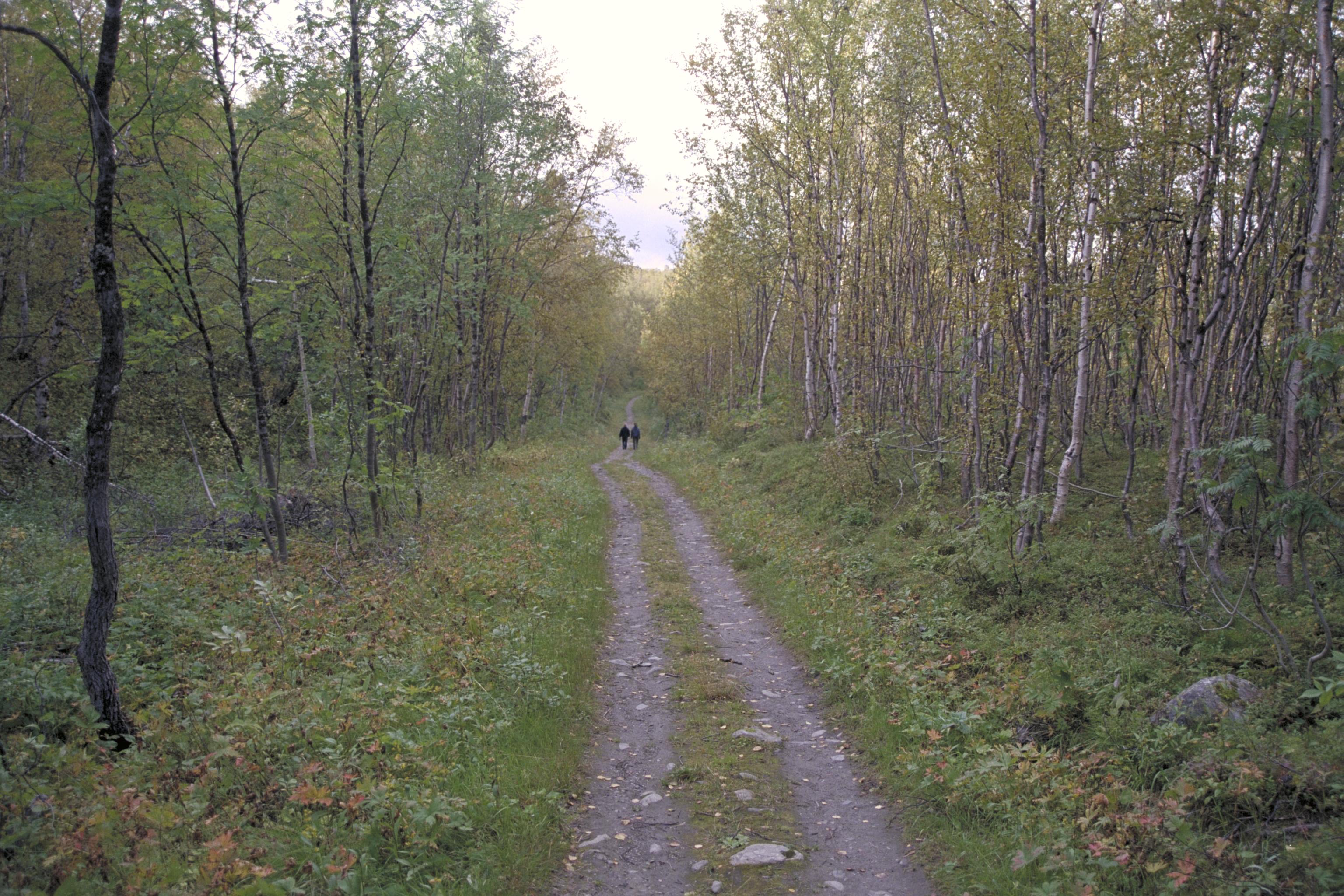 Bengt A Lundberg, Tornehamns kyrkogård