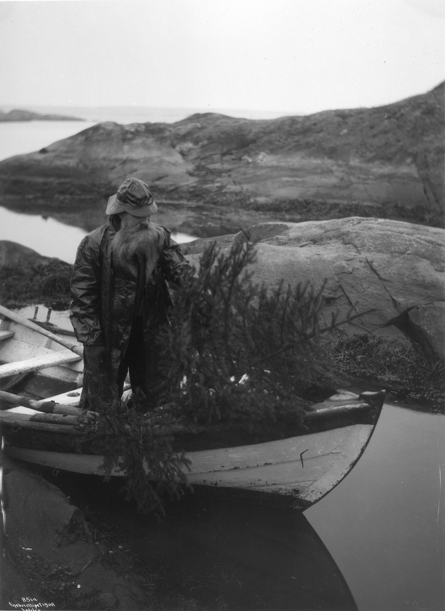 Anders Beer Wilse, Prot: Lodsens Juletre 1908