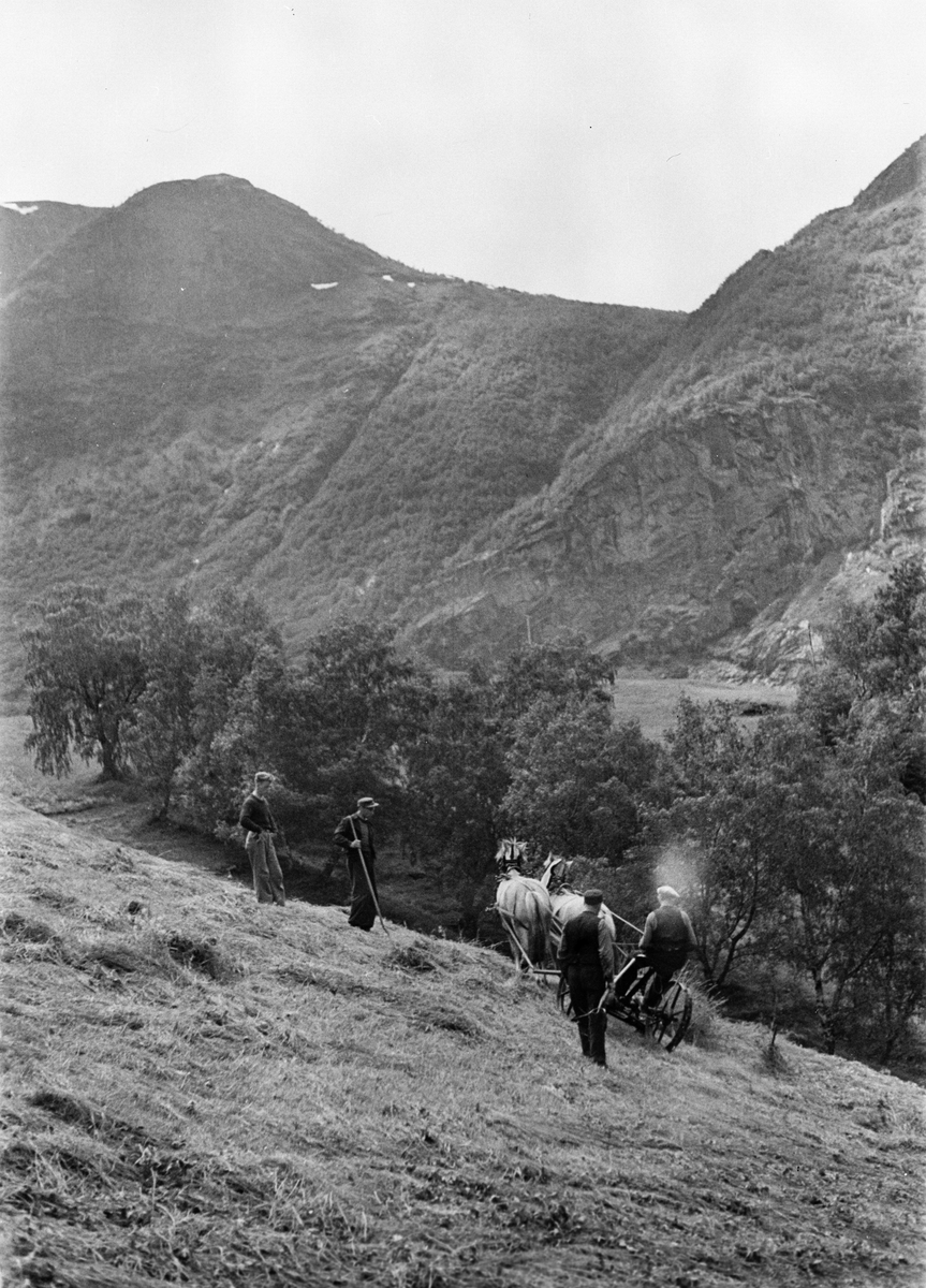 Anders Beer Wilse, Prot: Aurlandsfjord Slaamaskin