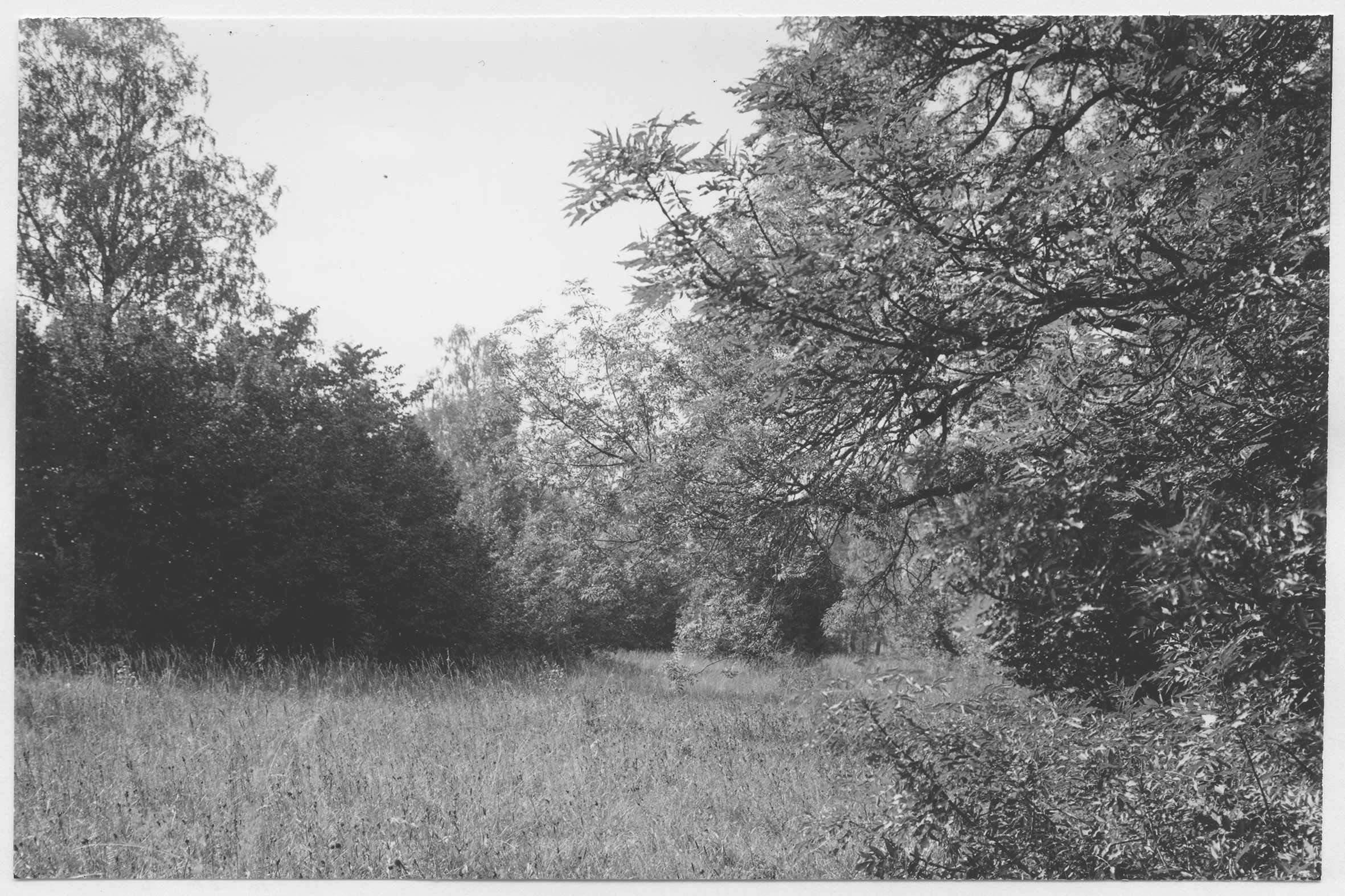 Mårten Sjöbeck, Herrfallsäng