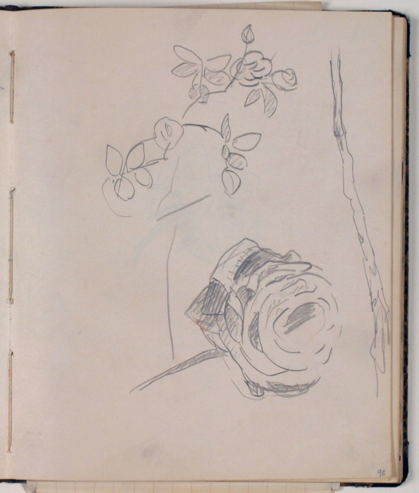 Niels Larsen Stevns, Studier af roser