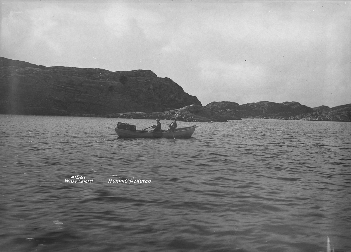 Anders Beer Wilse, Prot: Ny Hellesund hummerfiske