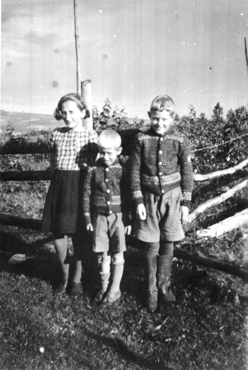 Anno Domkirkeodden, 3 barn ute. Fra venstre er Anna Mikkelsen, Jon Nilsen, Anne Nilsen. Bureisningsbruket Solvang, Veldre, Ringsaker.