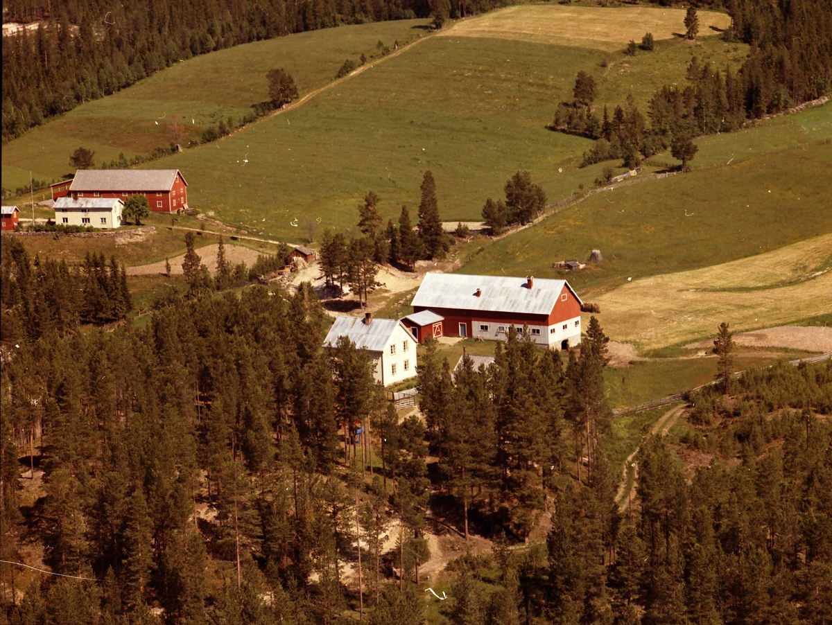 Widerøes Flyveselskap A/S, Gårdsbruk.