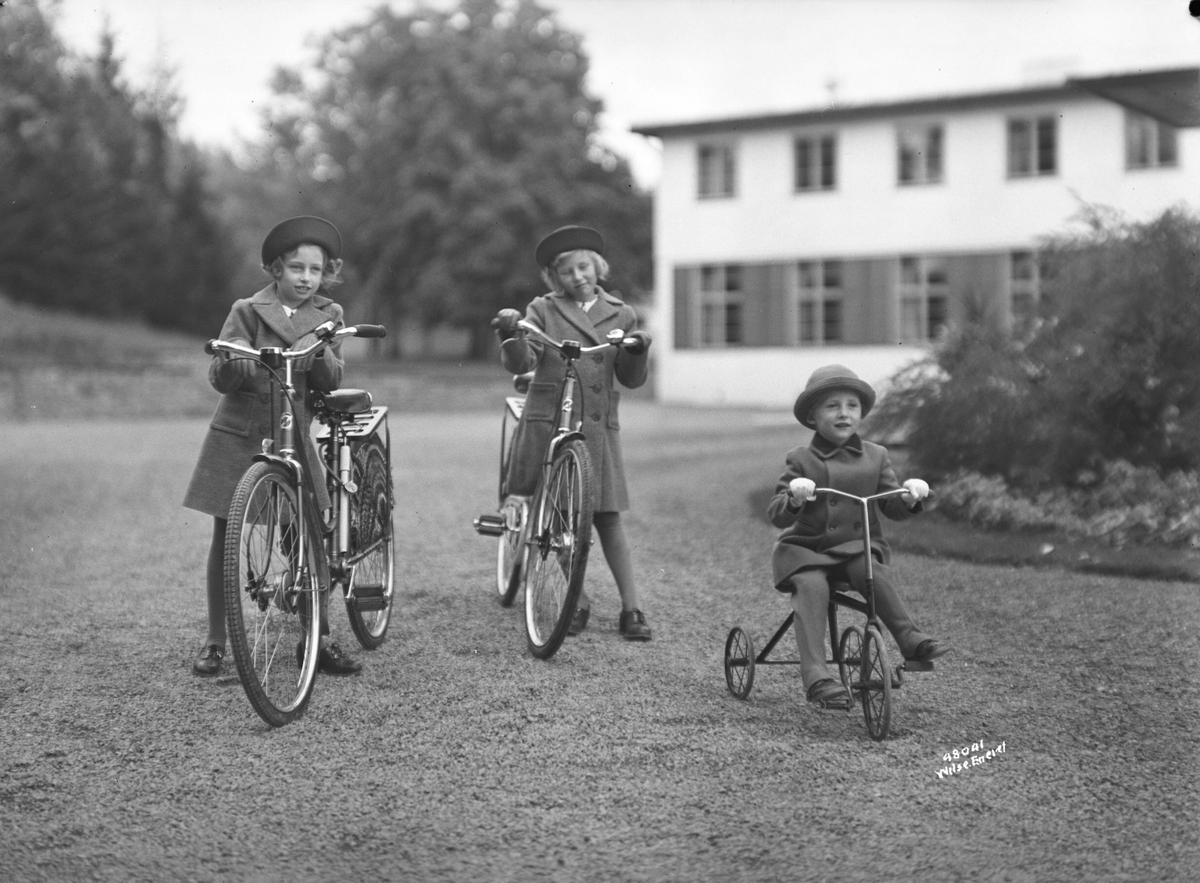 Anders Beer Wilse, Prot: Tre Cykler