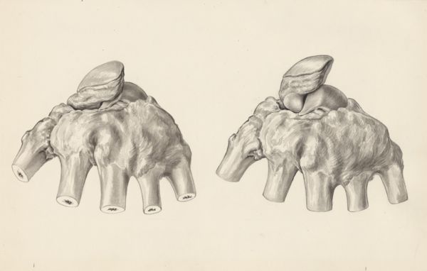 H.G Wetselaar, Musculoskeletal system of the hand