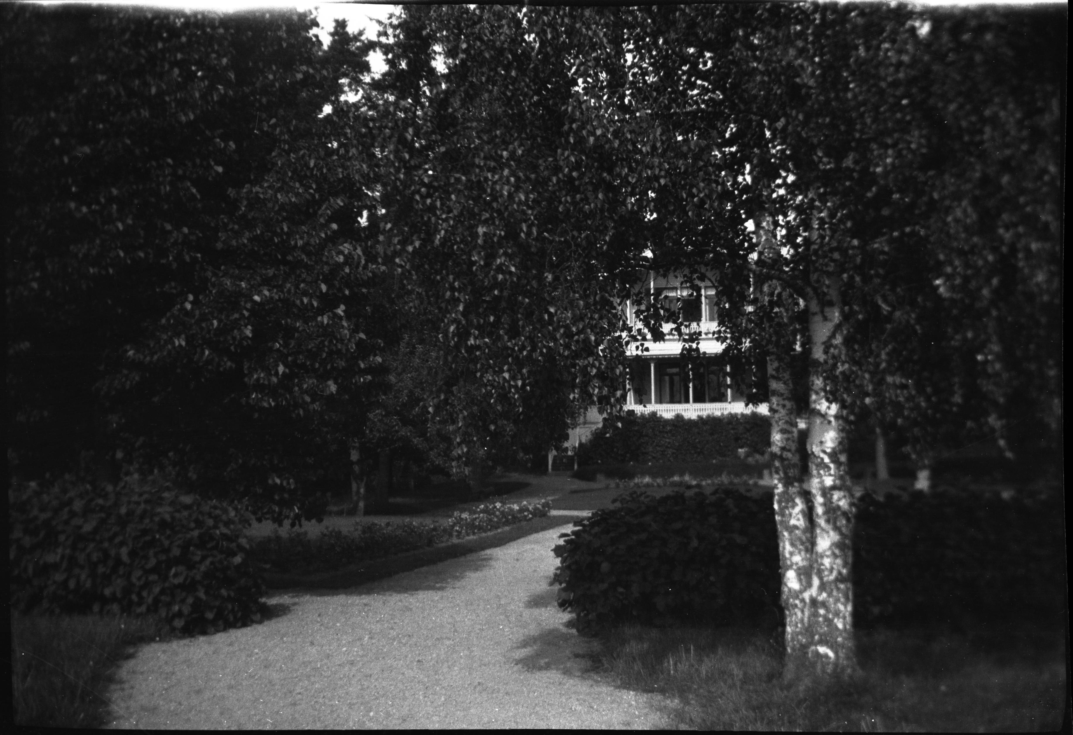 Berit Wallenberg, Viken