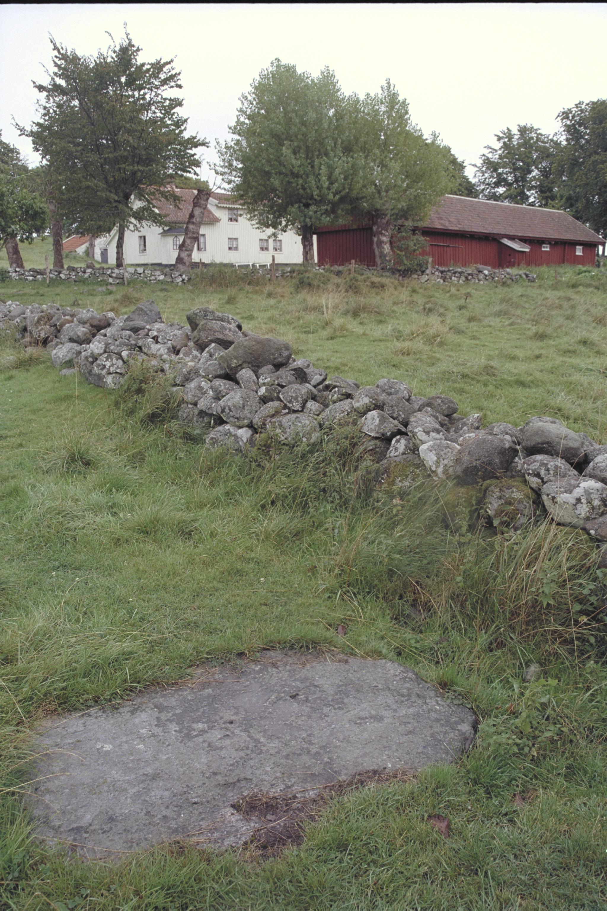 Bengt A Lundberg, Mårtagården