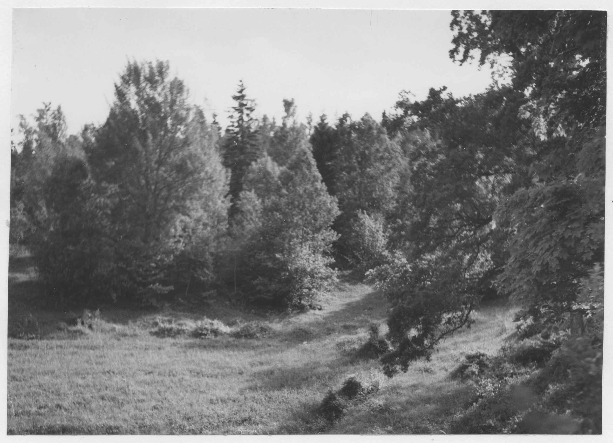Mårten Sjöbeck, Ränsliden