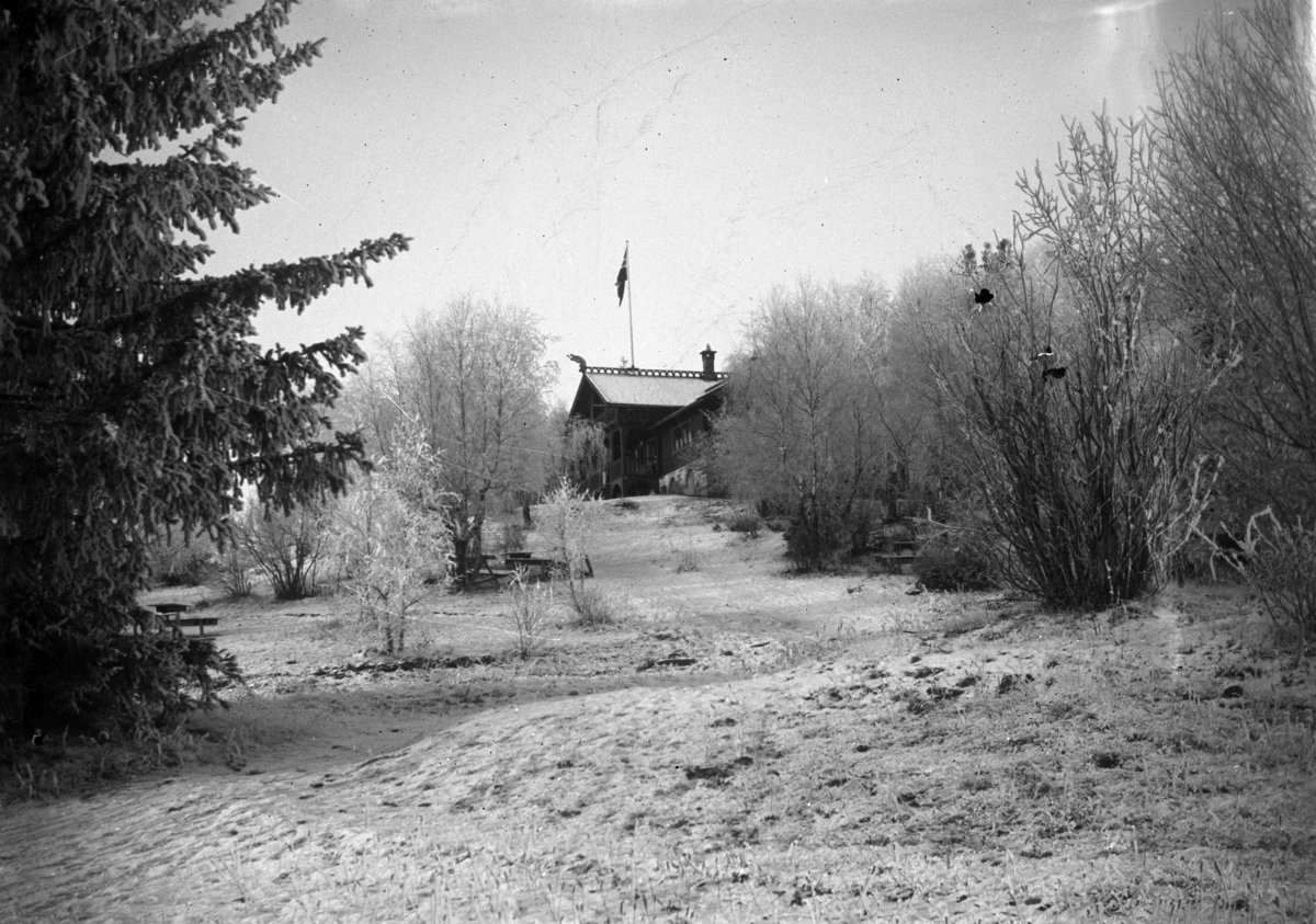 Johannes Larsen Alhaug, Skistua på Alhaug, Hamar.