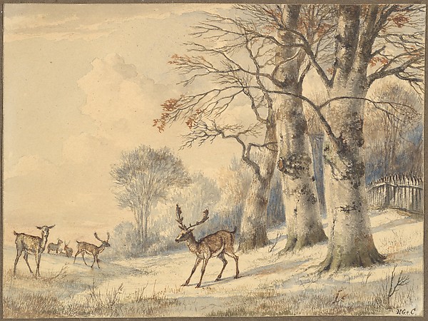 Hendrik Gerrit ten Cate, Deer under Beech Trees in Summer