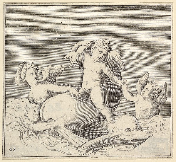 Anonymous, Italian, 16th century, Three Cupids and Two Dolphins, from "Ex Antiquis Cameorum et Gemmae Delineata/ Liber Secundus/et ab Enea Vico Parmen Incis"
