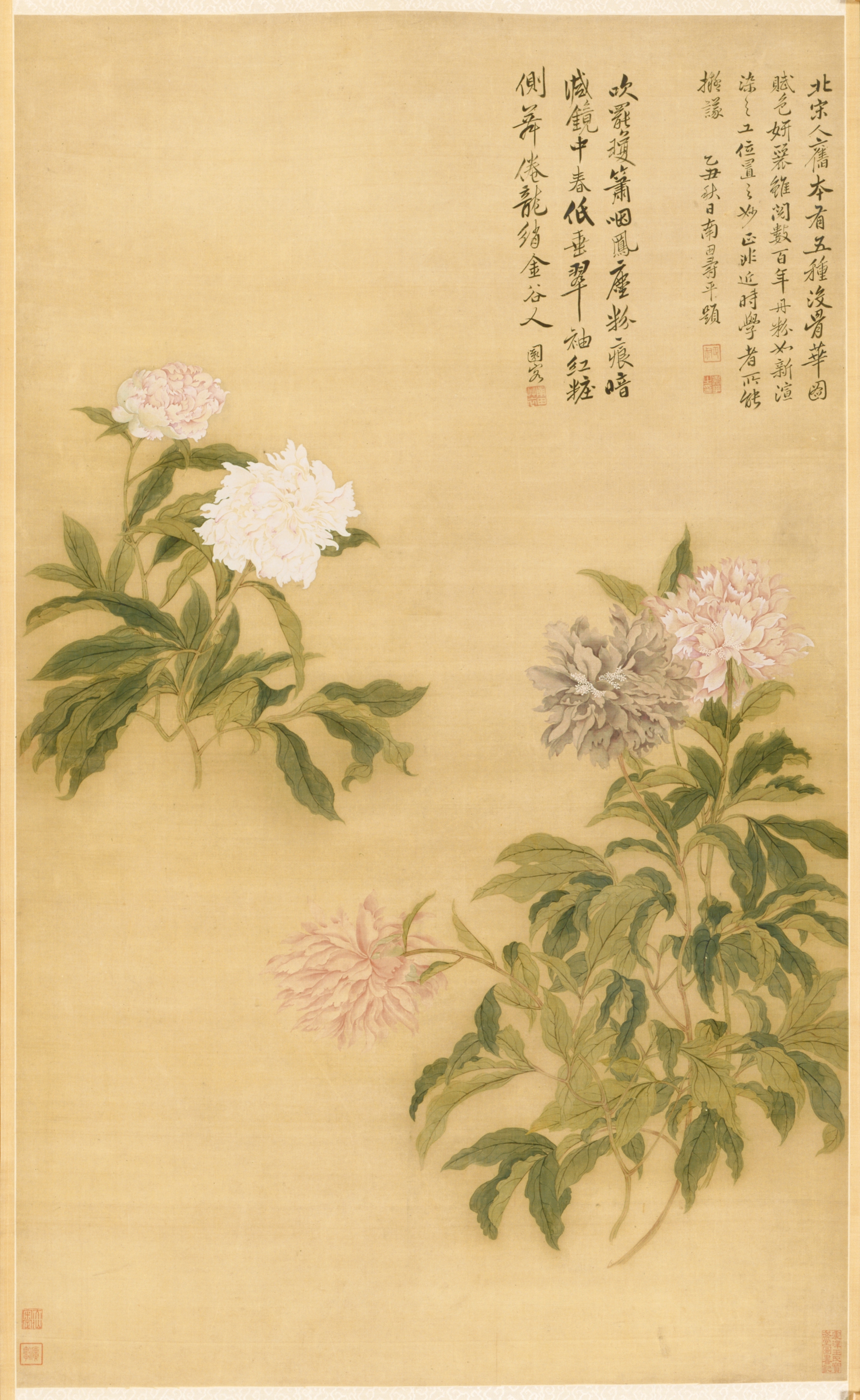 Yun Shouping, Herbaceous Peony