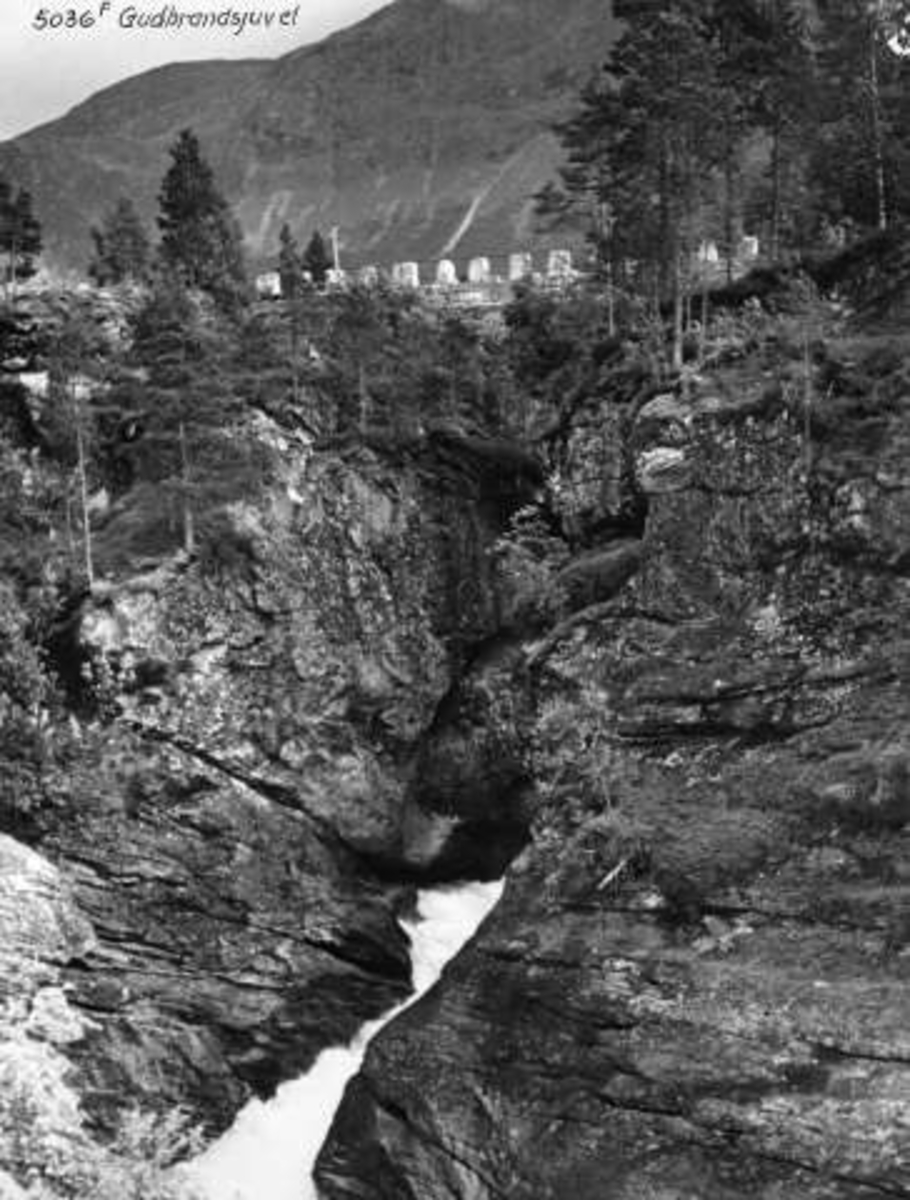 Anders Beer Wilse, -5778