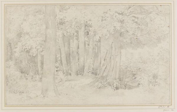 Unknown, Drawing