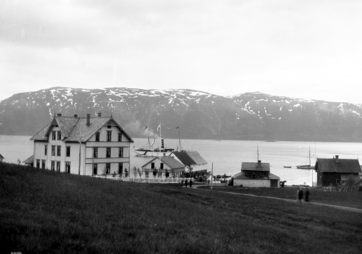 Anders Beer Wilse, Prot: Lyngseidet 1906
