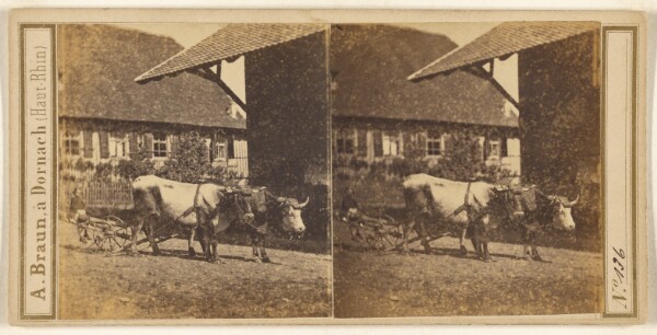 Adolphe Braun, [Child seated on oxen-drawn cart]