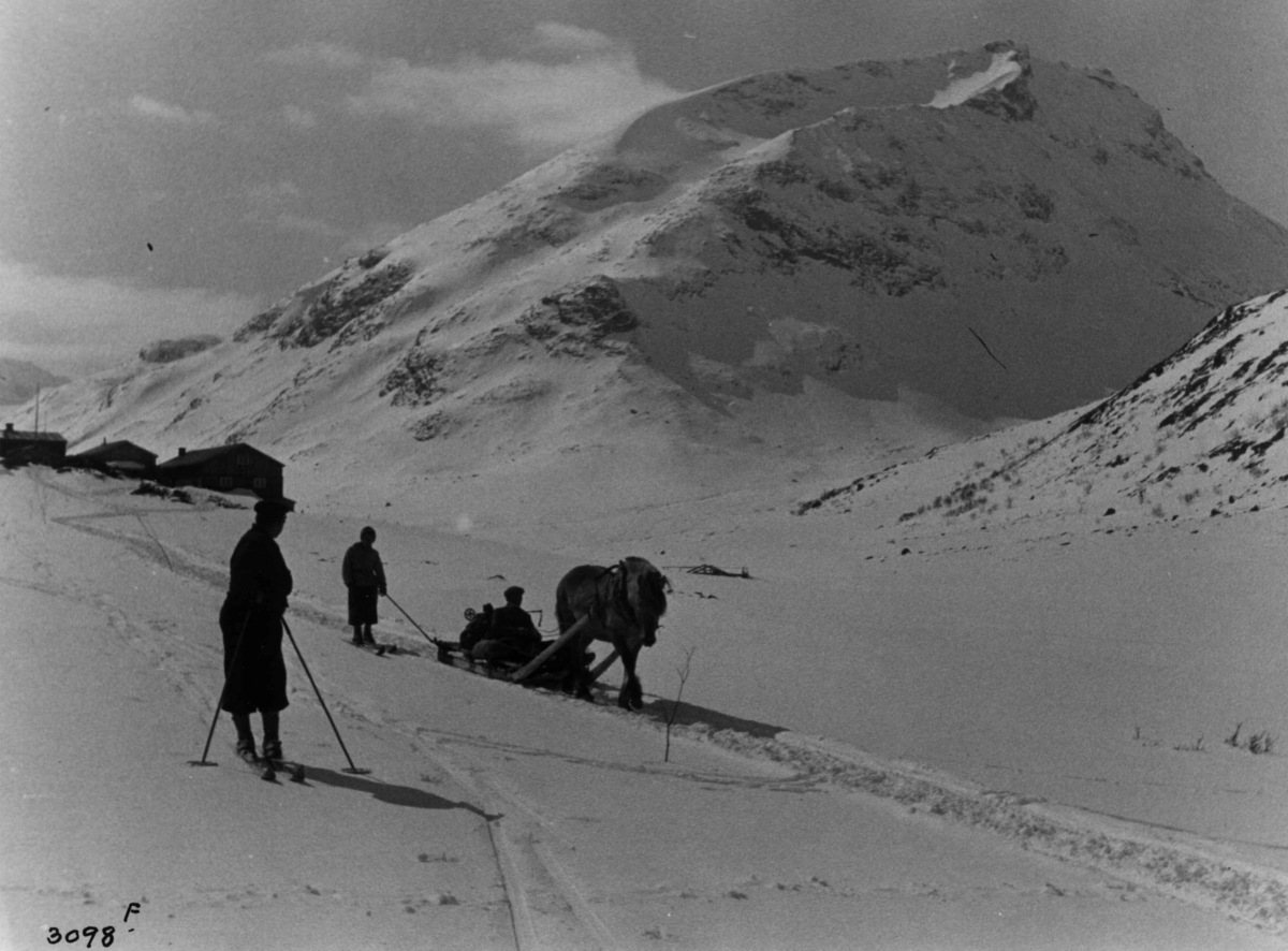 Anders Beer Wilse, Skiløpere og hest med slede ved Spiterstulen og Visdalen i Jotunheimen.