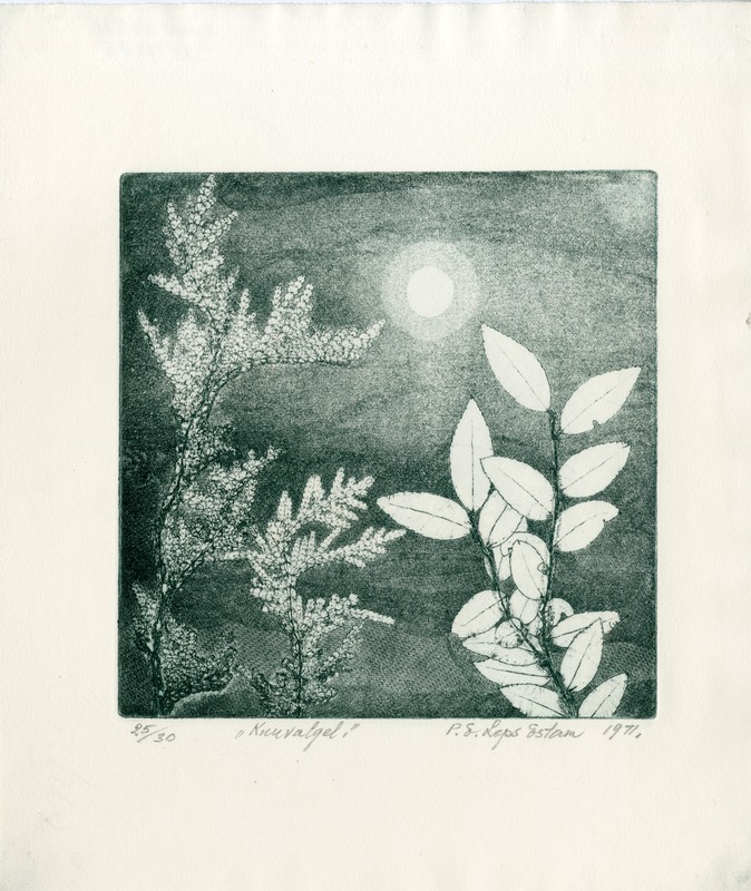 Pauline Elfriede (author) Leps-Estam, moonlight/By Moonlight
