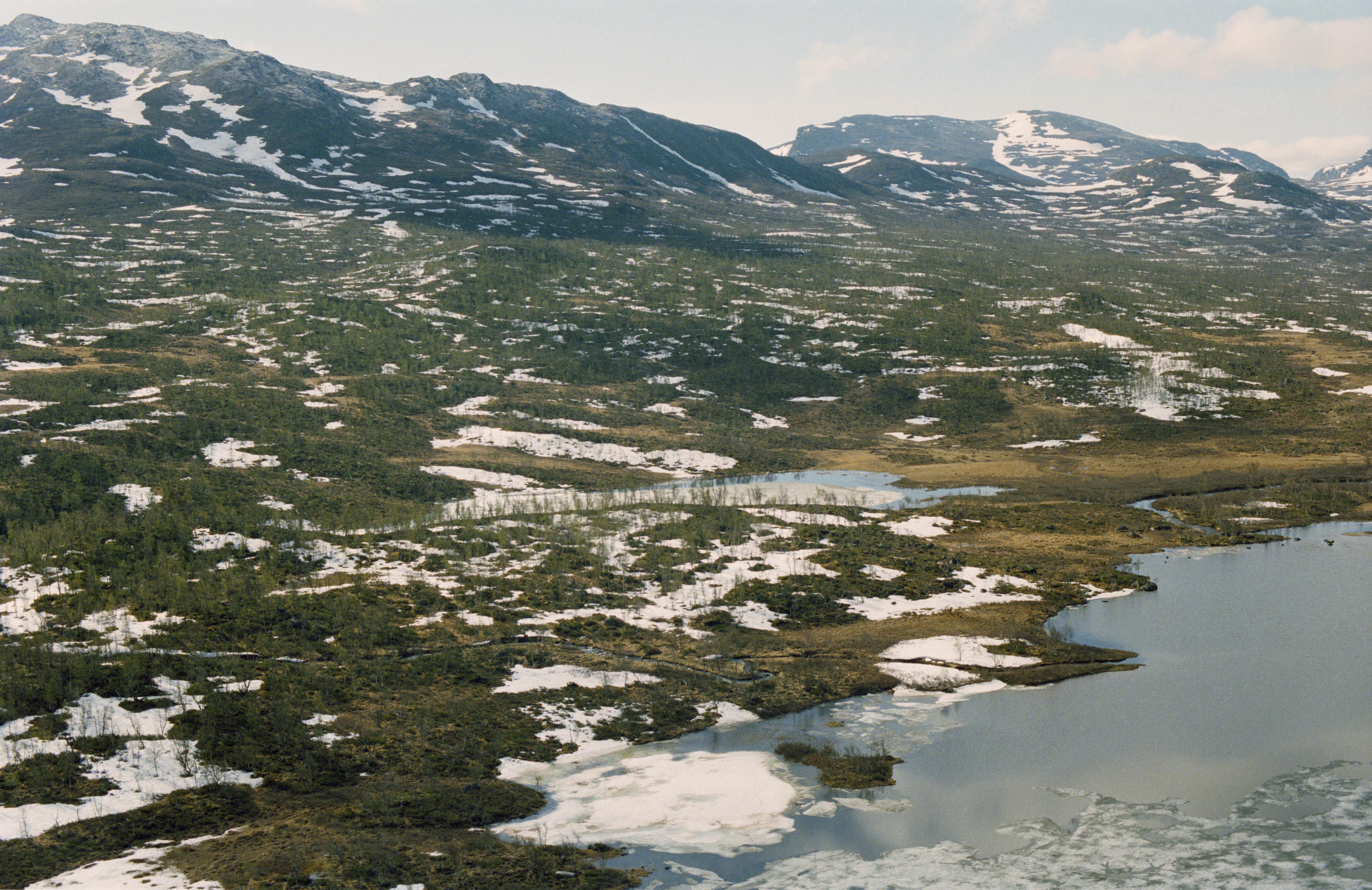 Jan Norrman, Bäversjön