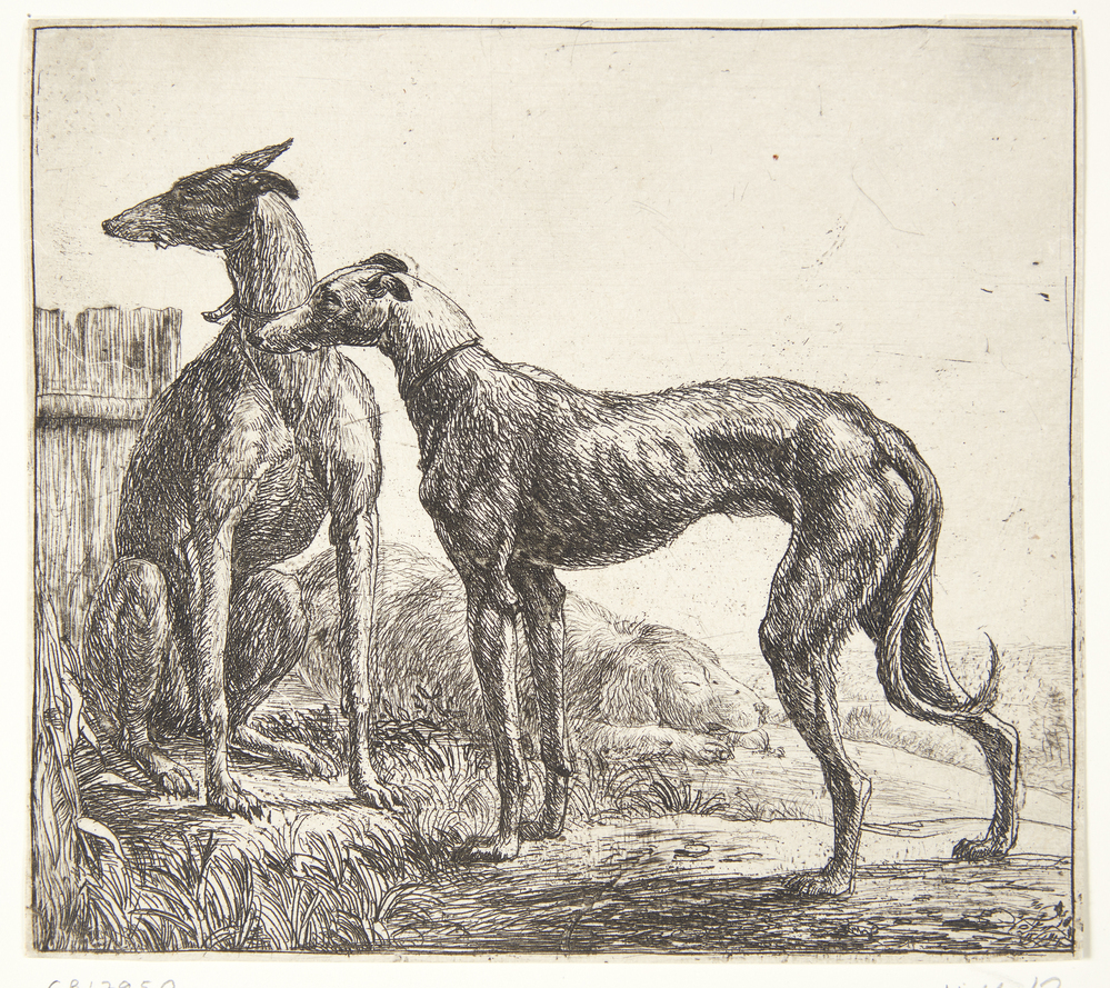 Simon de Vlieger, To mynder og en sovende hund