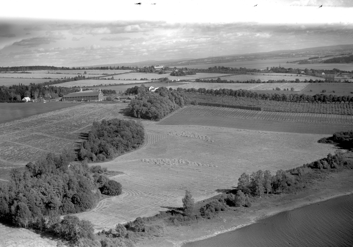 Anno Domkirkeodden, Flyfoto, gardsbruk, Hoel, Nes, Hedmark.