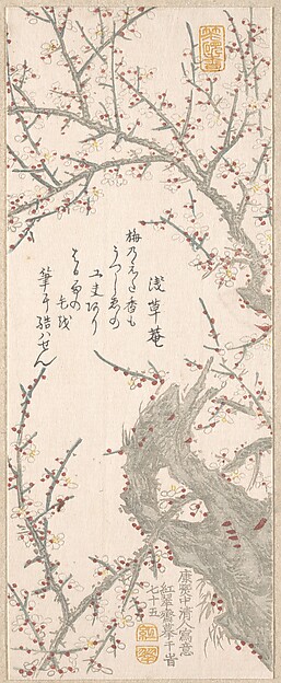 Kitao Shigemasa, Plum Tree in Blossom
