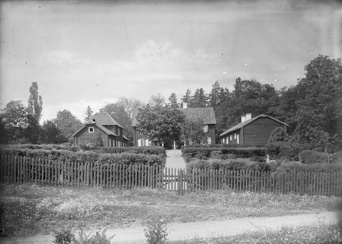 Henri Osti's Fotografiateliér, Linnés Hammarby, Danmarks socken, Uppland 1901