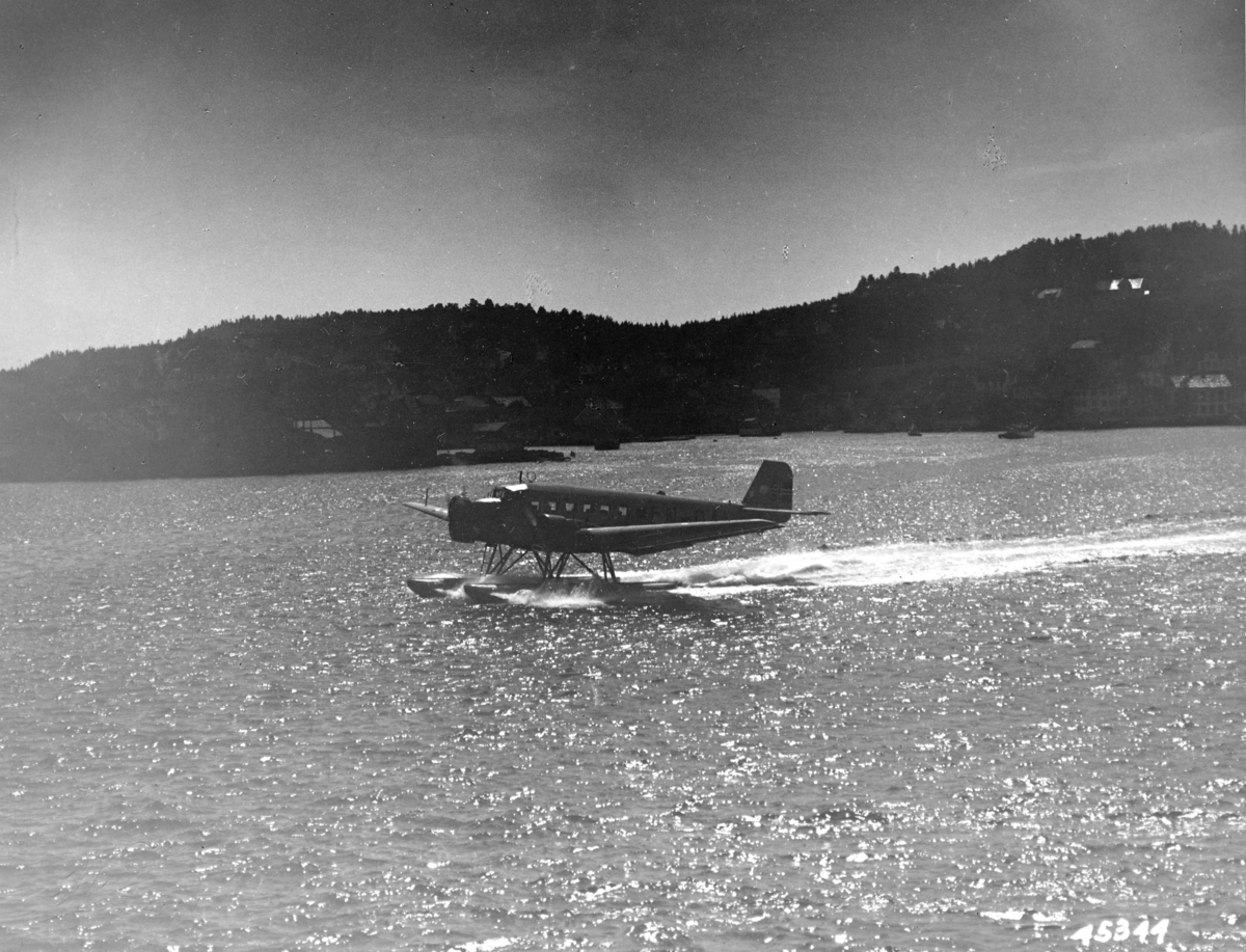 Anders Beer Wilse, Fly