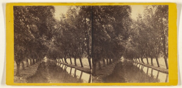 Edward and Henry T. Anthony & Co., Willow Avenue - Cascadilla Creek. [Ithaca, N.Y.]