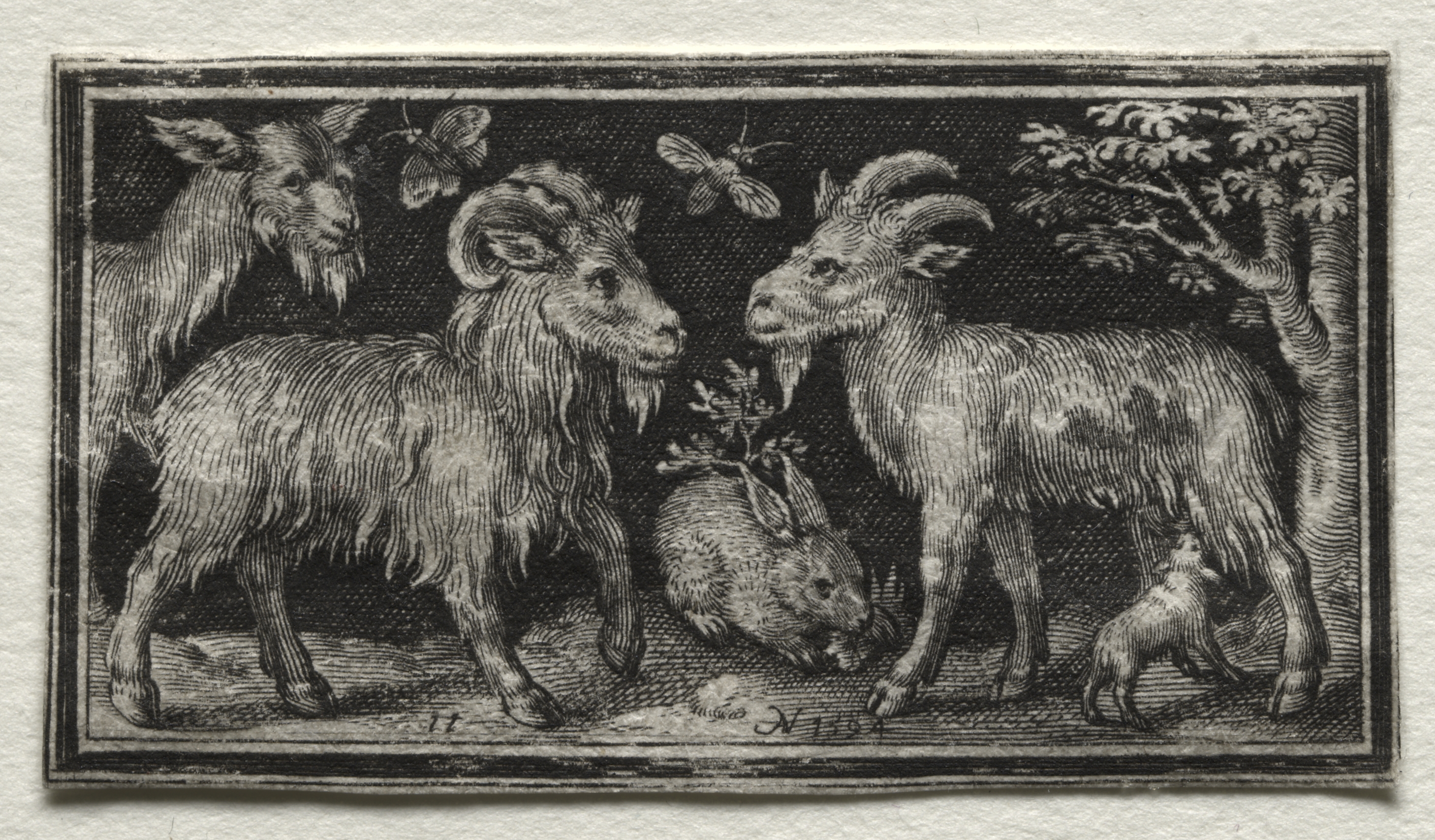 Nicolaes de Bruyn, Goats and Hare