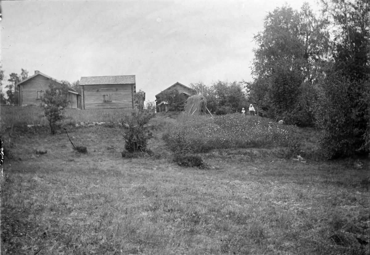 Okänd,, Farm environment, fatherly nest in Sweden