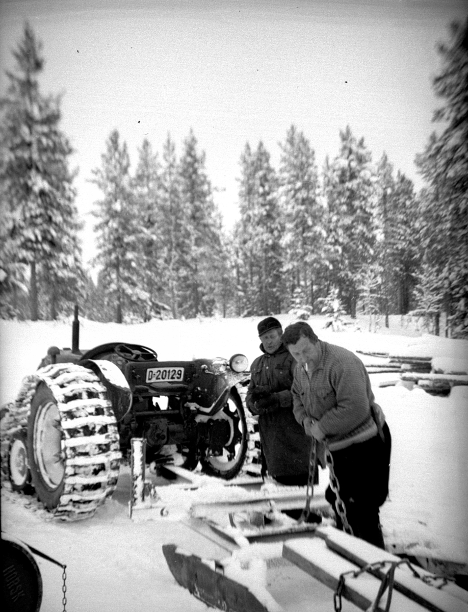 Anno Domkirkeodden, Tømmertransport med traktor D-20129, beltetraktor. To menn arbeider. Berger Langmoen A/S, Brumunddal.