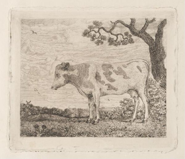 Unknown, Print