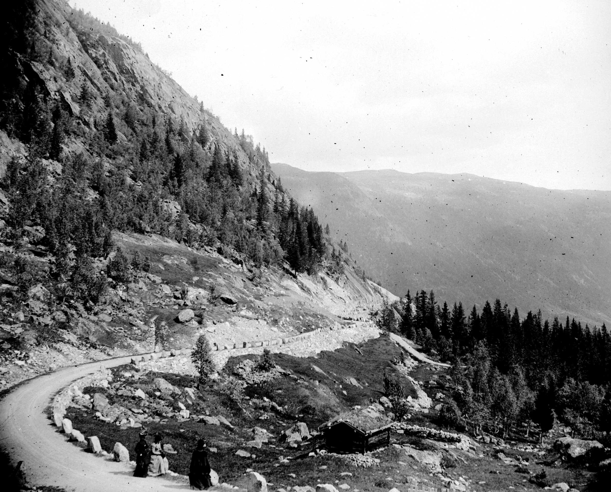 Juliane Fredrikke Langberg, Veiparti gjennom trekledt fjellandskap med personer i forgrunnen. Muligens på veien til Eggedal for å besøke Th. Kittelsen. Fra malerinne Juliane Fredrikke Langbergs (1856-1930) samling, tatt ca.1895-1910 med motivkrets slekt og venner samt steder tilknyttet samvær med disse.