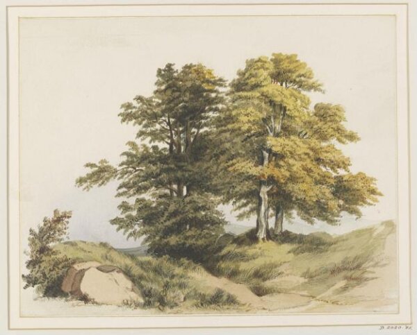 Unknown, Drawing