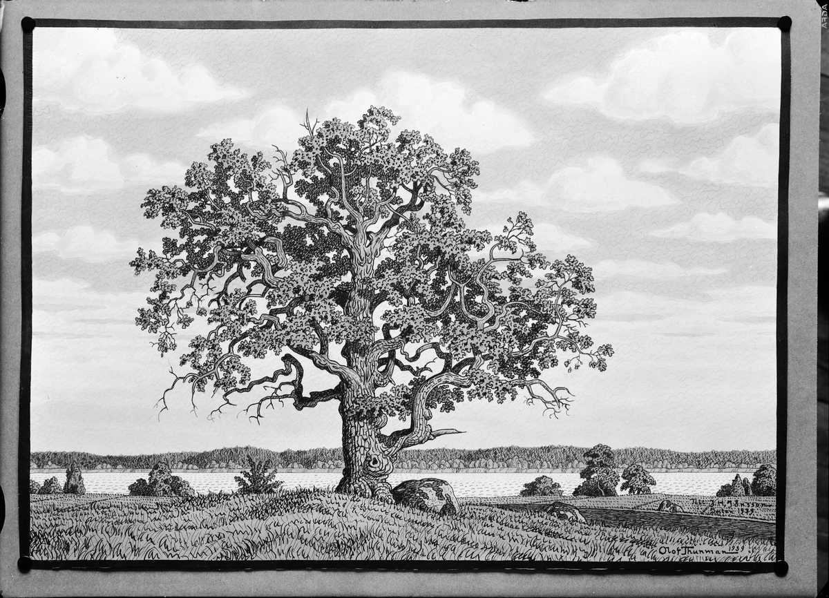 Paul Sandberg, Artwork - drawing with landscape motif, signed in 1939 by the artist Olof Thunman