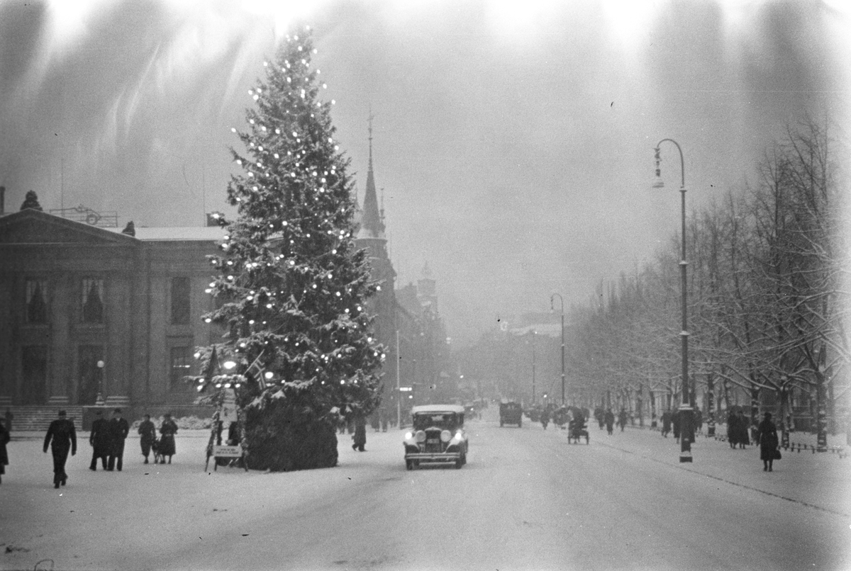 Anders Beer Wilse, Prot: Oslo ved snefall