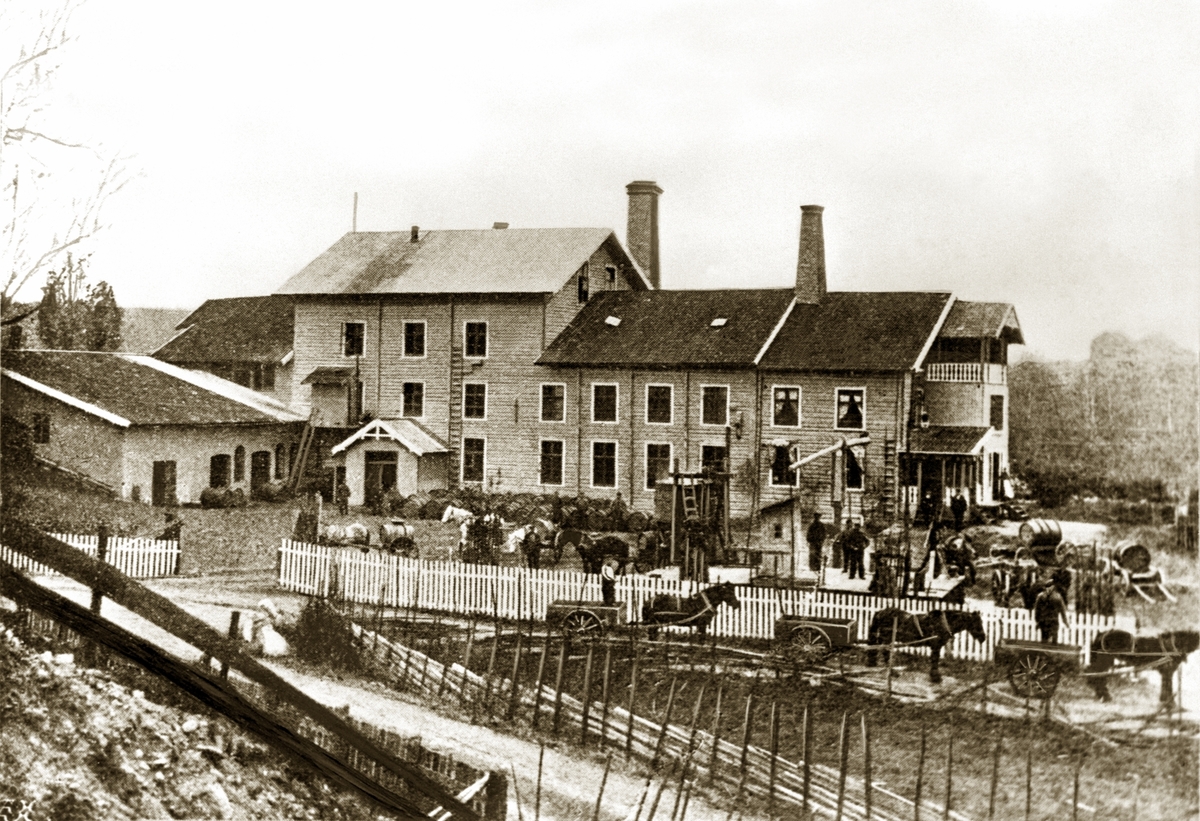 Anno Domkirkeodden, LØITEN BRÆNDERI, LØTEN BRENNERI, HESTER, TRANSPORT