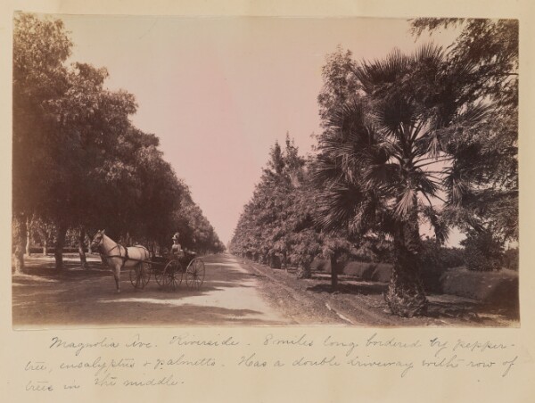 Unknown, Magnolia Avenue, Riverside