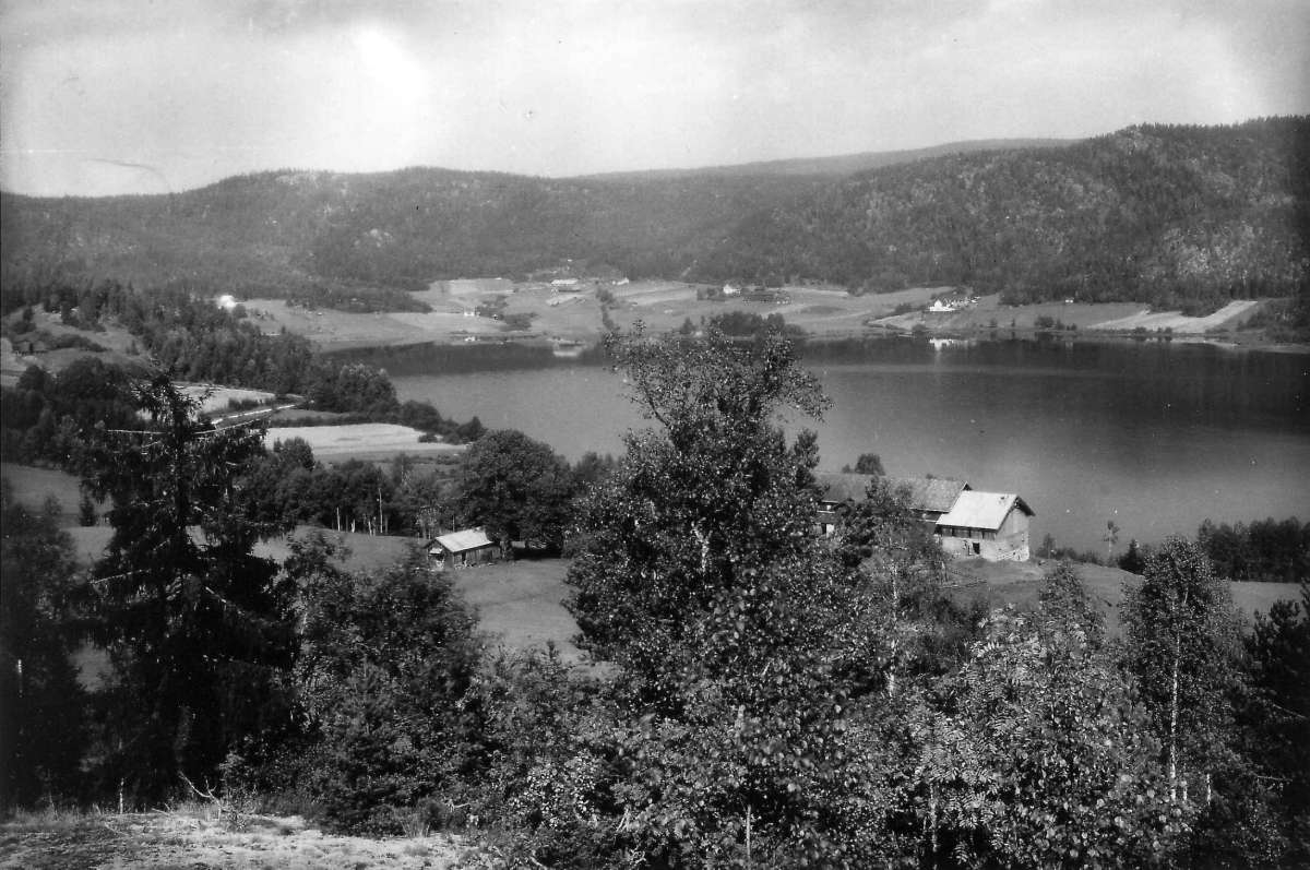 Hermann Christian Neupert, Slette gård, Kråkefjorden, Sigdal. 1930. Oversiktsbilde. Landskap med gårder. Skog og åser.