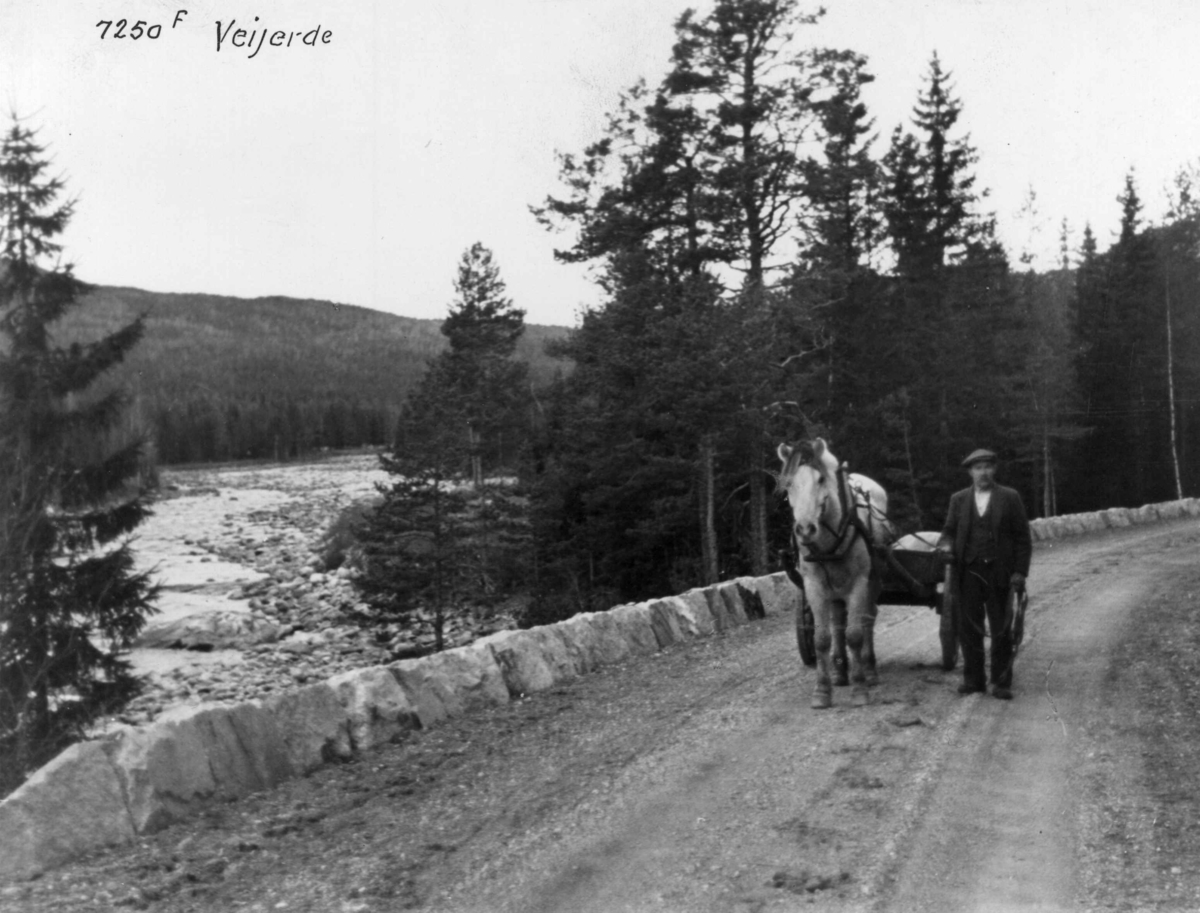 Anders Beer Wilse, Begna, Samferdsel, Vei, Hest