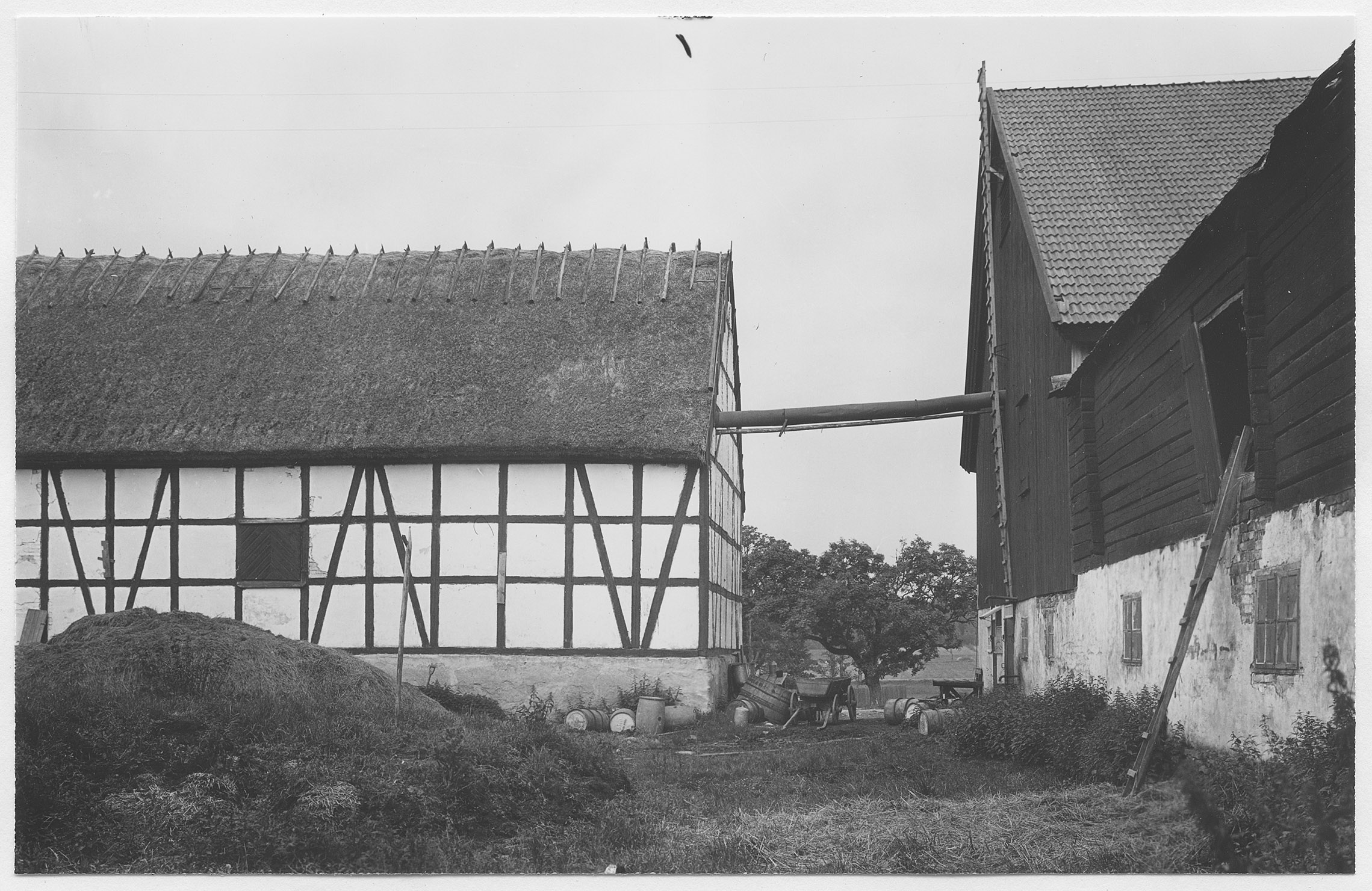 Mårten Sjöbeck, Läckö
