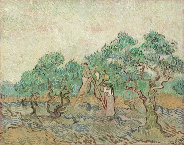 Vincent van Gogh, The Olive Orchard