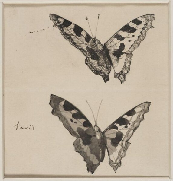anonymous, Drawing