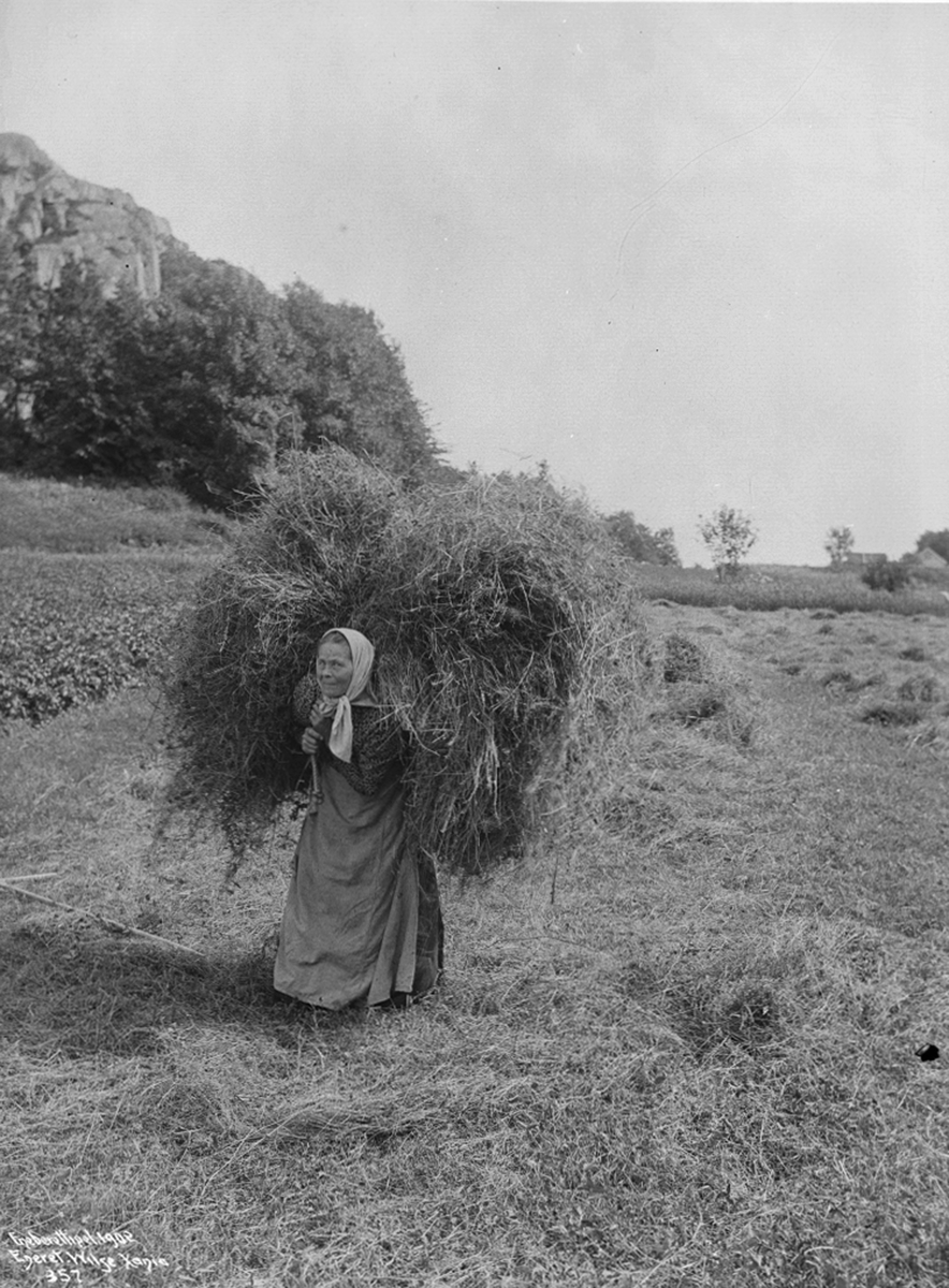 Anders Beer Wilse, Prot: Tjømø Høiaand indbæring av høiet Juli 1903